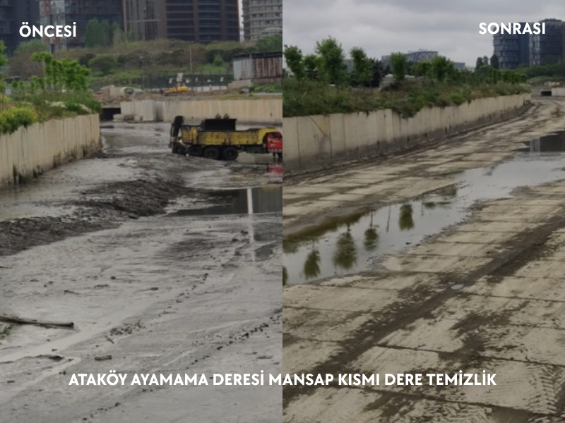 Tamamlanmış Projeler